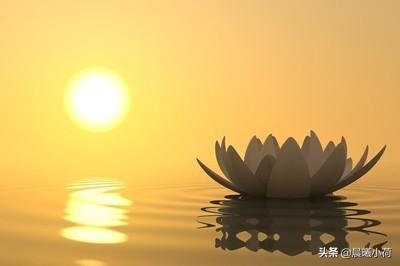 熊皮沙皮犬长大后样子:《西游记》中，如果孙悟空和唐僧性格颠倒一下会产生怎样的结果？