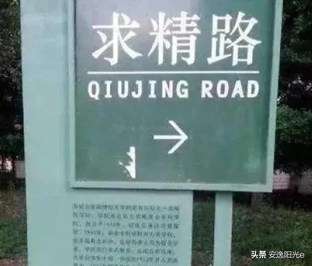 哥伦比亚盆地侏儒兔的个人空间:你见过哪些奇特的街名或巷名？