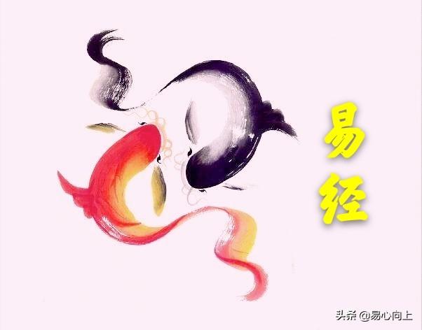 生辰八字 易卜居,在读易经之前，应该先读哪些书？