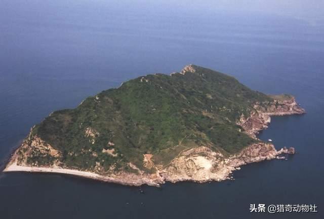 大连深海鱼种类:大连海参相比于其他地方的海参为什么会更有名气？