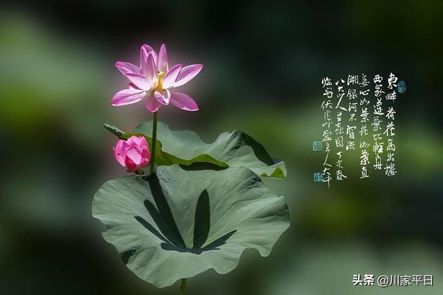 微商发朋友圈时间段大数据:经常发朋友圈是不是很容易遭到“鄙视”？