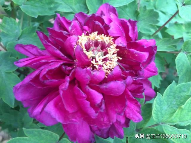 小萝卜头纪念馆:期货投资者想找个安静的地方来交易生活，中国那个省县城好啊？