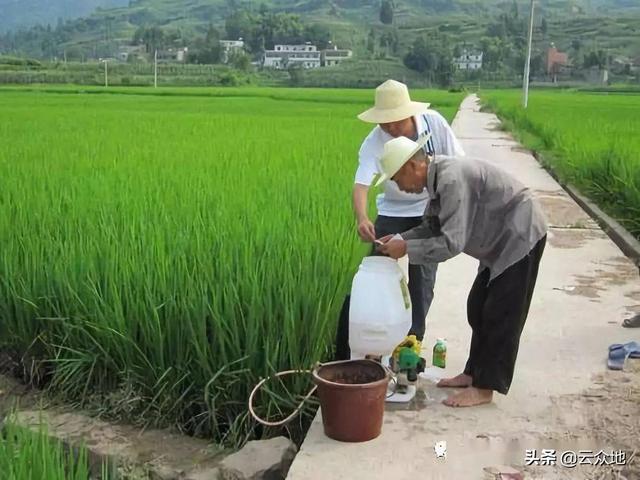 多拉菌素阿维菌素:伊维菌素和阿维菌素的区别？ 多维菌素与阿维菌素