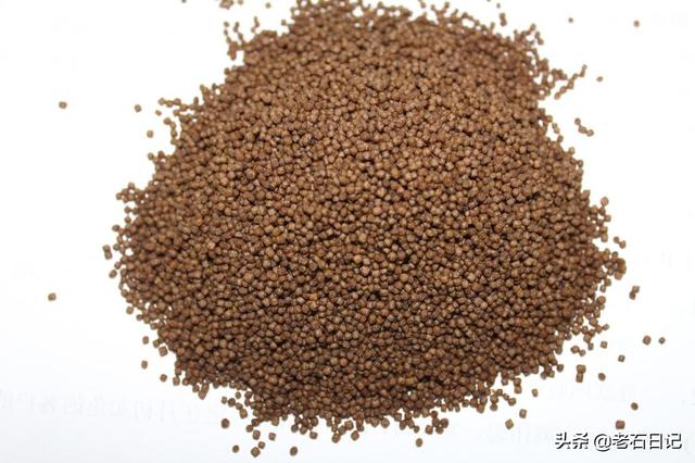 蜗牛和乌龟的饲养方法视频教程:蜗牛喂乌龟的正确方法 中华草龟怎么在池塘饲养？