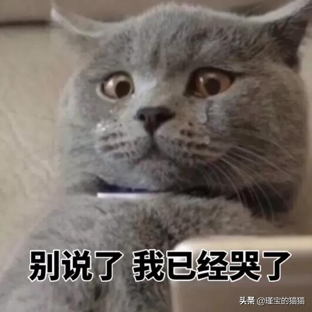 猫咪不乖的作品请:猫咪不乖的全部小说作品集 正常猫耳屎什么样子，猫咪耳垢怎么清理？