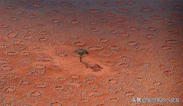 南露脊鲸:关于非洲，你最好奇的是什么，有哪个地方最想去