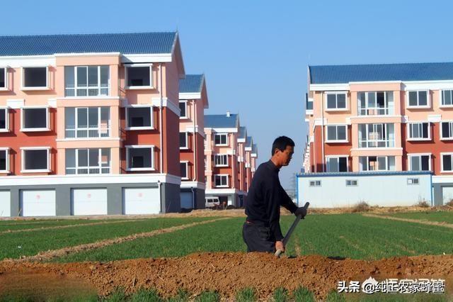 未来中国或进入“无县时代”？，未来我国农村会不会出现“大农场”生产模式