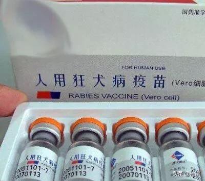 山西太原小精灵宠物医院的微博:如何减少太原的流浪狗伤人事件？大家有什么好办法？