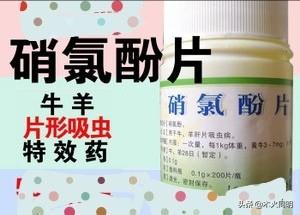 医仕高驱虫药用法用量:怎样给狗狗驱虫，多久一次？