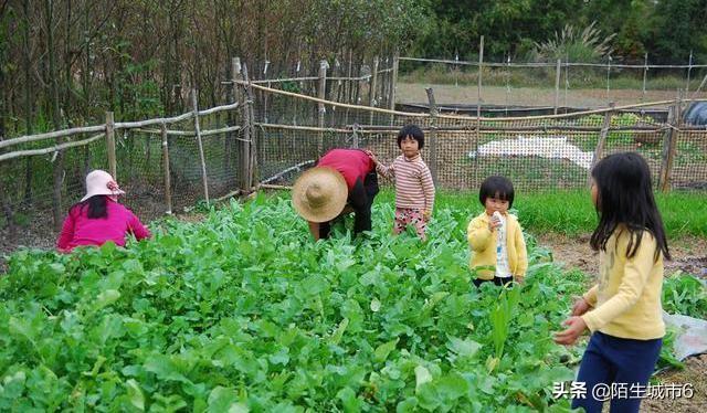 如果农民都进城了农村咋办？谁来种田？
