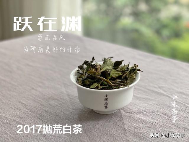 白茶茶饼怎么收藏比较好,想收藏点白茶，对此你有什么好的建议？