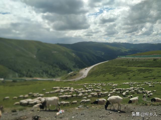演员银雪:为什么不少人吐槽电视剧《三千鸦杀》选错了女主、剧情过于套路