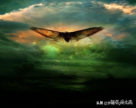 《哥斯拉2》中,王者基多拉死了之后,哥斯拉并不会飞,拉顿成了天空统治者,为什么还要向哥斯拉臣服呢？