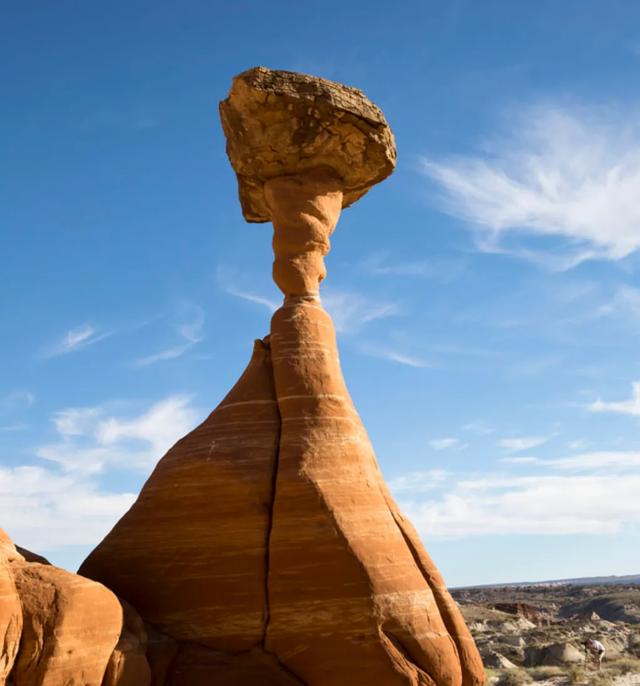 长久不住人的房子为什么更容易残破？插图4