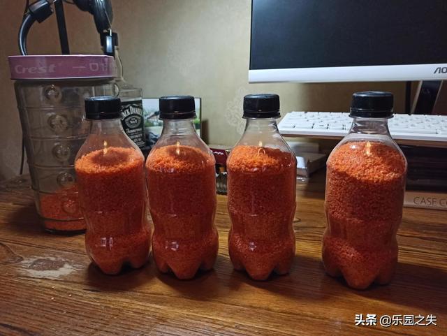鱼饵料鲫鱼冬天:冬天鲫鱼用什么打窝，什么饵好钓？