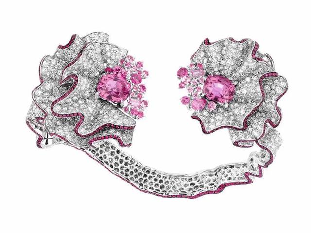 蓝宝石哪些人不宜戴,蓝宝石葡萄优缺点是什么？都有哪些品种？