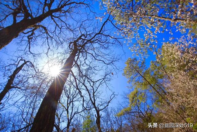 春节打算带家人去昆明转下,请问昆明有哪些好玩的景点值得一去？