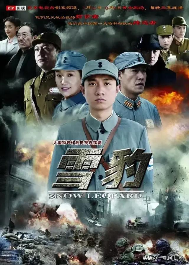 电视剧雪豹剧情介绍:如何评价【雪豹】这部电视剧？为什么有这么多人看？