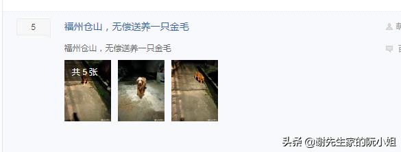 淘宝人狗情未了动物医院:能解释一下淘宝无偿领养狗狗猫咪是否真是10块吗？
