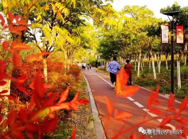 头条问答 假如唐朝没有诗人崔颢和李白 武汉的黄鹤楼会名传千古吗 10个回答