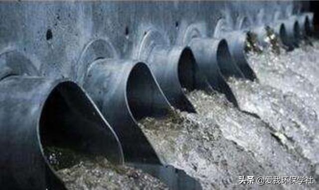 海洋鱼类资源:有媒体报道：长江、渤海鱼资源枯竭，与污水厂向里排污有关吗？