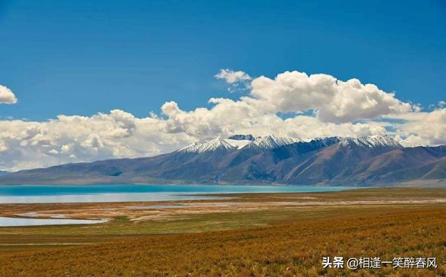 可可西里真的是生命的禁区吗？