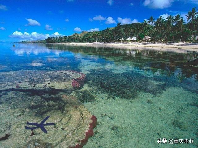 海南淡水鱼养殖:海南有多少种海鱼？怎么样？