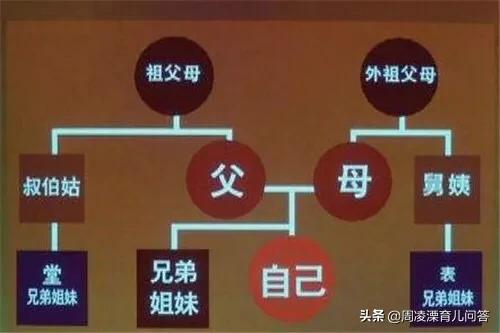 生下11兄妹的多伯曼犬夫妇:“近亲结婚生傻子”，是真还是假？生下的是否可能是天才？