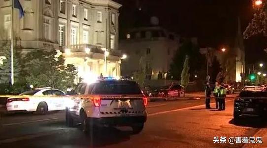 男子被牧羊犬袭击新闻:陕西一男子，纵容猛犬撕咬田园犬致死，还拍视频炫耀，你怎么看？