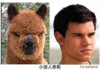 沈春阳图片:为什么有些人攻击沈春阳？