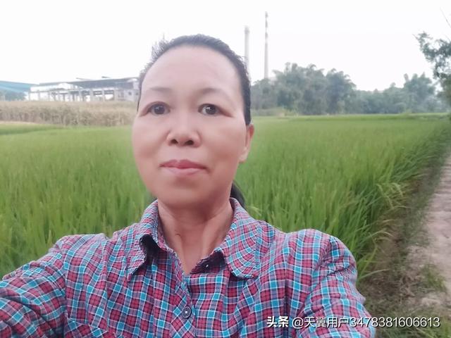 有什么赚钱的小项目介绍吗？