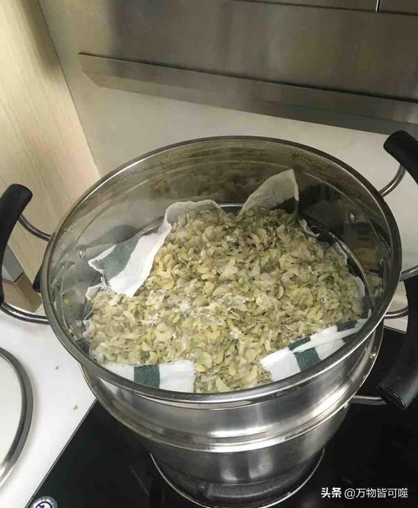 洋槐:洋槐树 过去的人们为什么爱采食洋槐花？你吃过洋槐花吗？