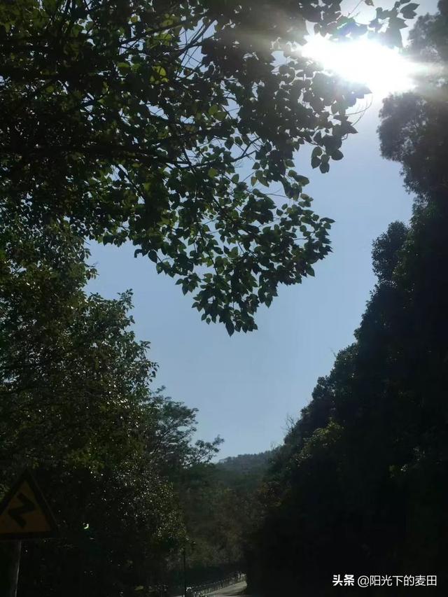 一眼看中的房子是有缘吗,你相信一见钟情还是相信缘分？