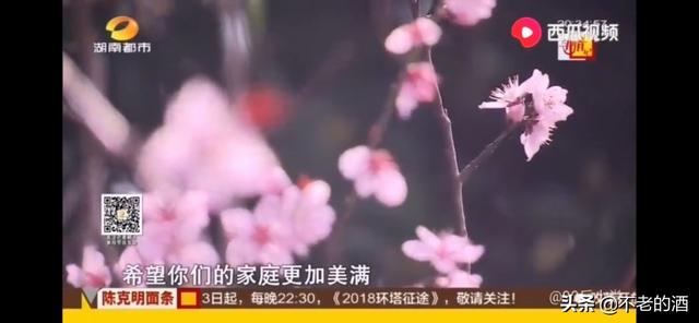 哈尔滨杀人碎尸案:还有哪些没破了的大案要案？