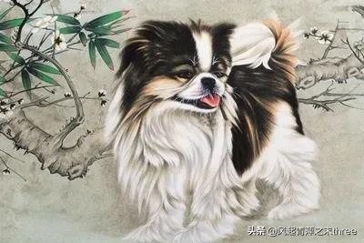 鸡和狗属相配对,属鸡的和属狗的结婚后幸福吗？为什么？