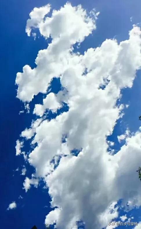 火葬场图片:死人进火化炉的时候听说会有叫声是真的吗？