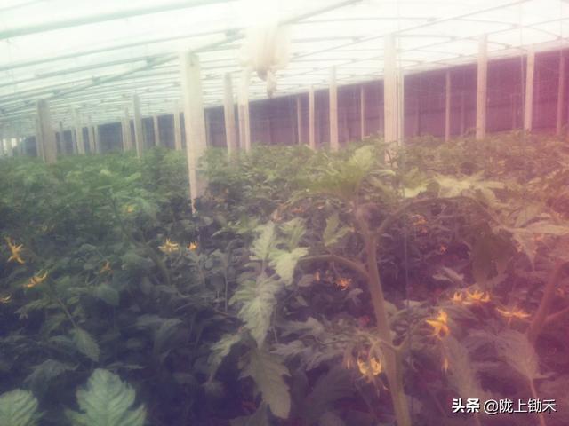 三农领域是拍些什么内容？