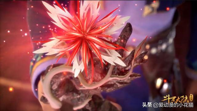 头条问答 - 《斗罗大陆》中,小舞是知道相思断肠红能遮蔽魂兽气息才不