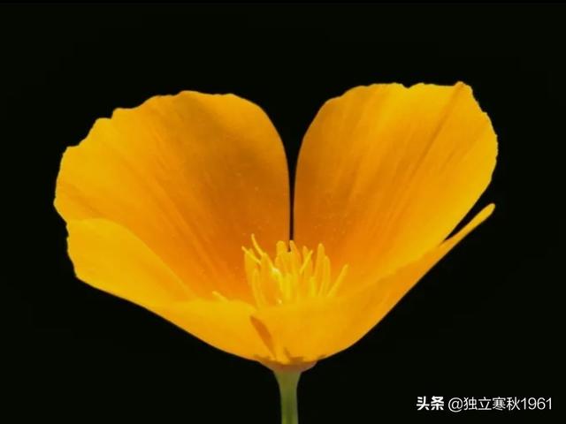 逗人开心微信<a href=https://maguai.com/list/256-0-0.html target=_blank class=infotextkey><a href=https://maguai.com/list/256-0-0.html target=_blank class=infotextkey>朋友圈</a></a>文章:<a href=https://maguai.com/list/55-0-0.html target=_blank class=infotextkey><a href=https://maguai.com/list/55-0-0.html target=_blank class=infotextkey>生活</a></a>因幽默而精彩，你认同吗？(<a href=https://maguai.com/list/55-0-0.html target=_blank class=infotextkey><a href=https://maguai.com/list/55-0-0.html target=_blank class=infotextkey>生活</a></a>因你而精彩父亲)