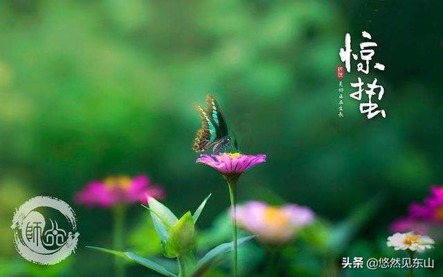 今天听到一句古话：惊蛰不冻虫,寒到五月中,这句话是什么意思？有道理吗？