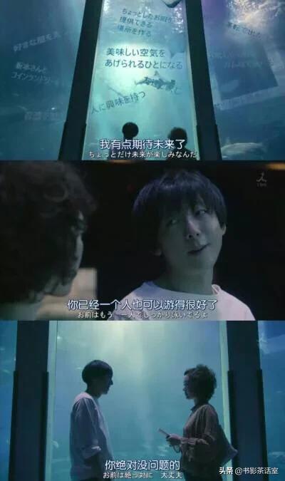 完颜洛绒:有什么电视剧，你看了不下一遍，还忍不住向别人推荐