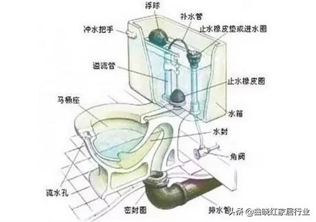 厕所马桶堵了:卫生间的马桶总是堵是什么原因？