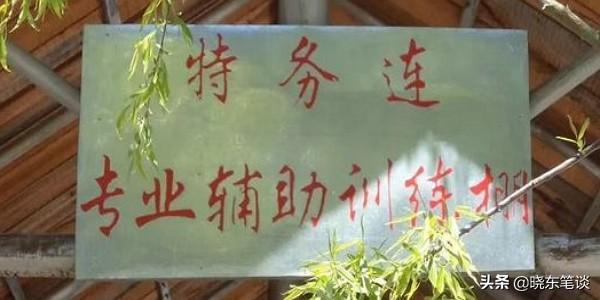 曾士峨:大家知道部队里特务连和普通连队的区别吗？
