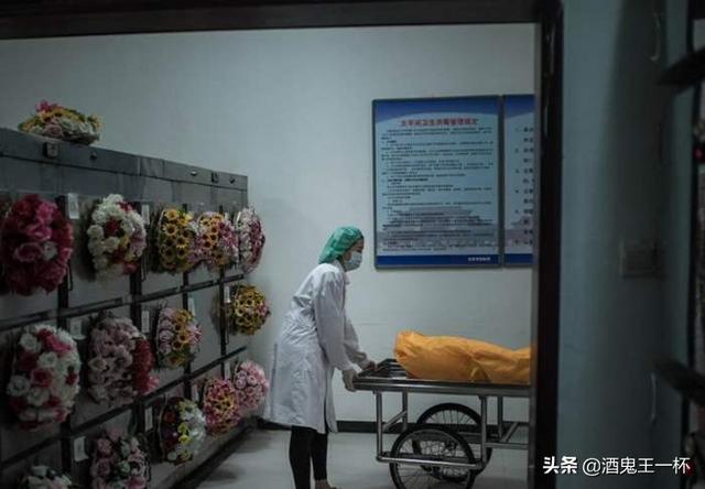 (新本格派推理的回答,0赞)