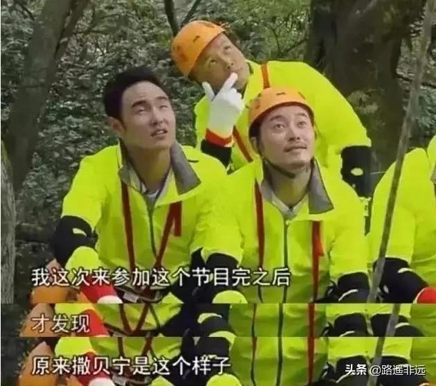 范冰冰未ps照片:为什么金星毒舌揭露娱乐圈的种种没人管