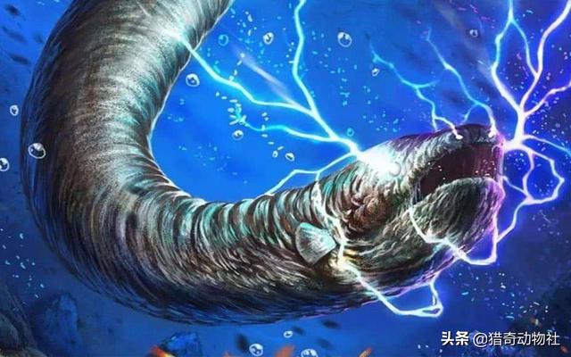夜晚热带雨林灵异事件:都说亚马逊雨林是人类禁区，有比亚马逊雨林更恐怖的地方吗？