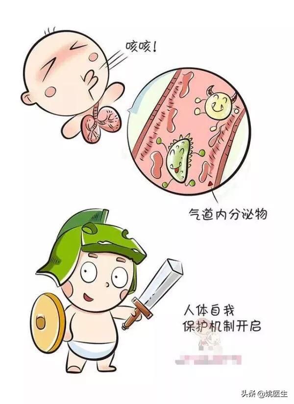 什么食物可以化痰(什么食物可以化痰祛痰)