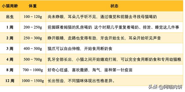 小龙猫用什么人工喂奶:如何照顾刚分娩的龙猫妈妈和小龙猫？ 小龙猫怎么人工喂奶