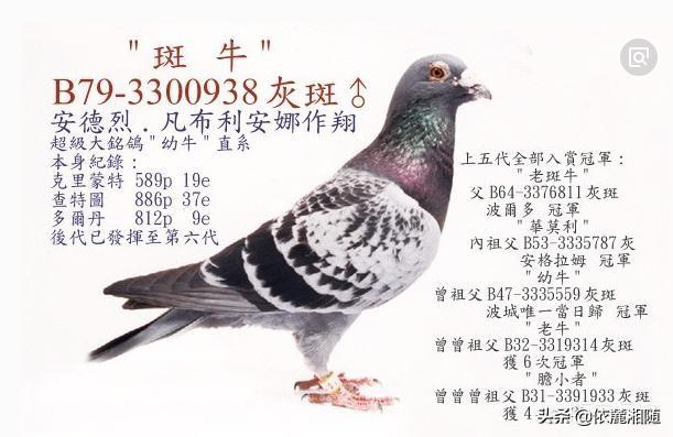 夏练三伏,冬练三九夏练三伏是什么意思？