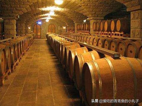 葡萄酒起源，为什么红酒原料是葡萄汁不是葡萄品种
